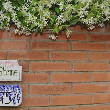 Il Glicine Livorno